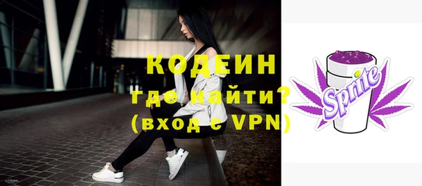 спиды Лагань