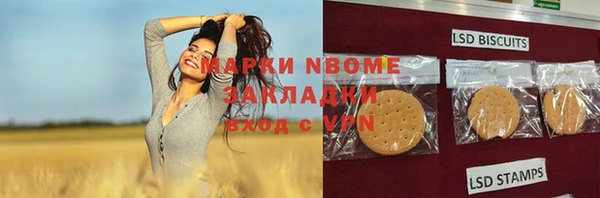 спиды Лагань