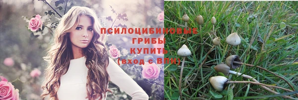 прущая мука Ладушкин