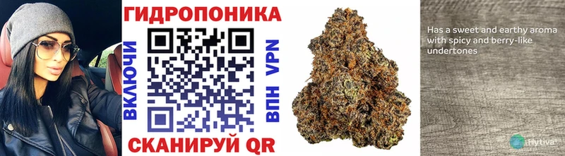 Купить закладки  Гагарин  Канабис OG Kush 